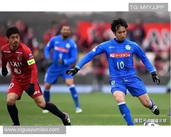 岗山绿雉与群马温泉的奇妙邂逅探索自然与人文的完美融合