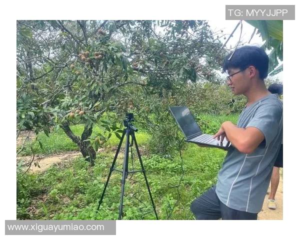 果园中的四季变迁与农业可持续发展探索