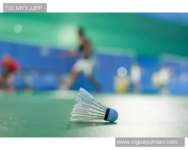 香港羽毛球运动员的崛起与挑战：从青少年训练到国际赛场的奋斗历程