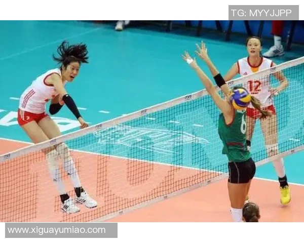 专访李磊：深入探讨排球运动背后的成功秘诀与成长之路