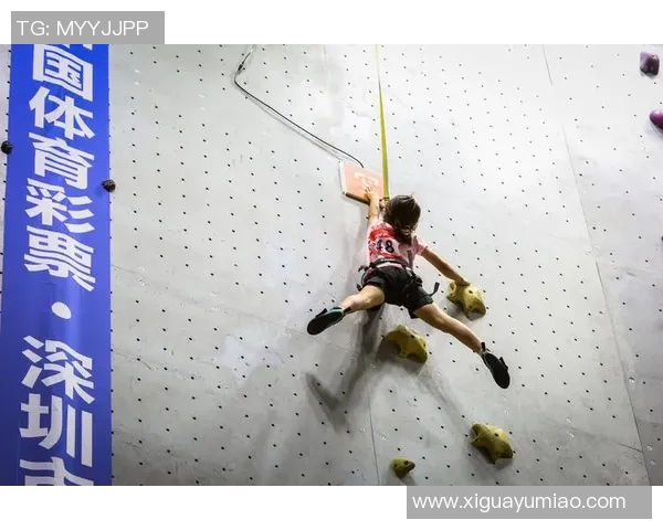 广州攀岩队在全国攀岩状态排行榜中荣获第九名的佳绩引发关注