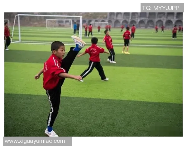 赵强独家揭秘足球技巧与战术分享助你提升球技的实用心得