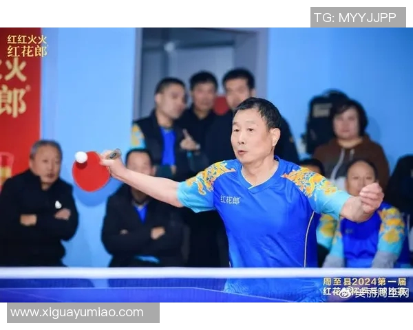 乒乓球的魅力与灵动南京乒乓球队的灵活性深度解析