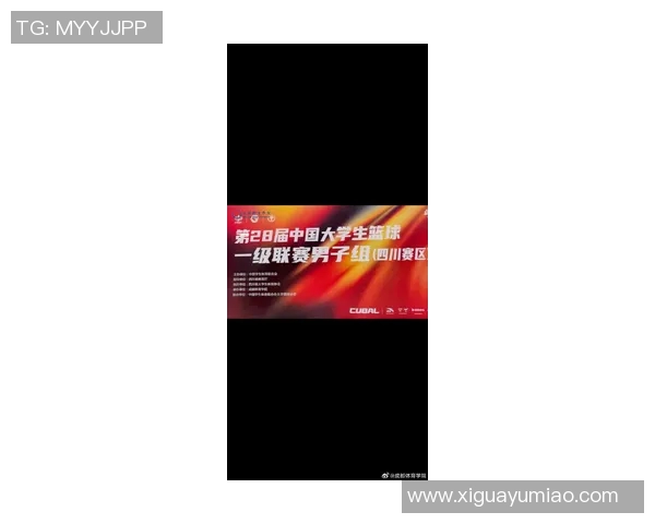 成都篮球队在比赛经验上创新高引领全国篮球发展新趋势