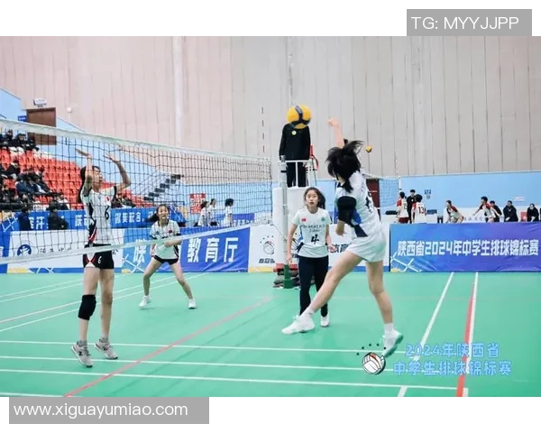 西安排球队逆袭之旅的精彩瞬间与背后故事揭秘