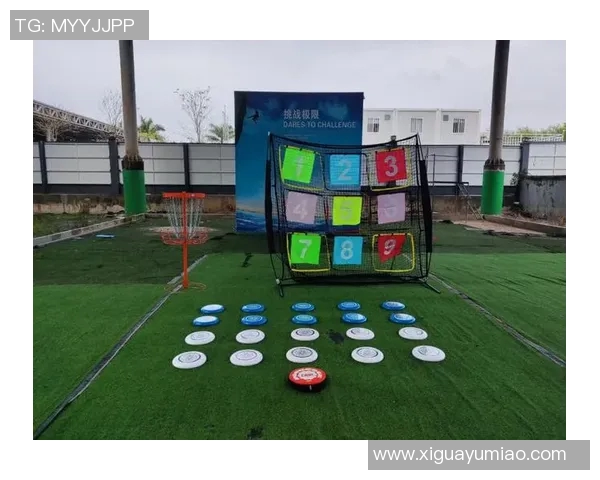 飞盘运动的魅力与挑战赵芳分享她的成长与梦想