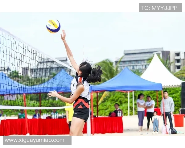 南京排球队的速度之美：探秘排球运动的魅力与激情
