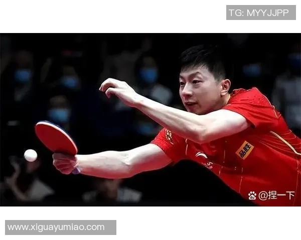 马龙：从乒乓球天才到世界冠军背后的坚持与奋斗